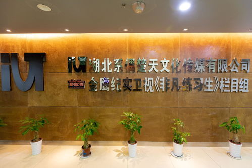 湖北系偶楚天文化傳媒